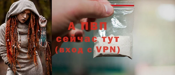 spice Гусь-Хрустальный