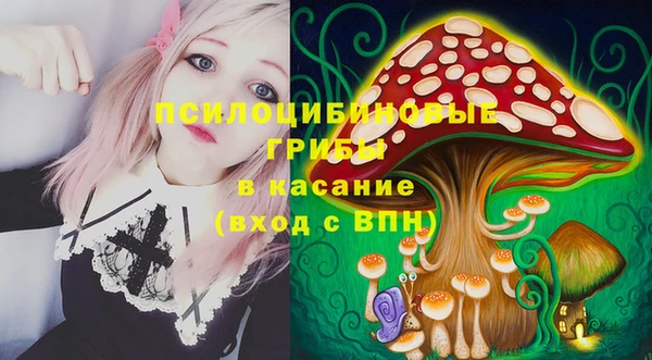 spice Гусь-Хрустальный
