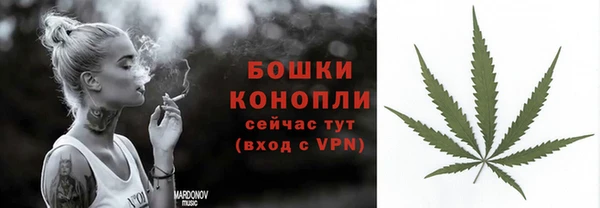 МДПВ Гусев
