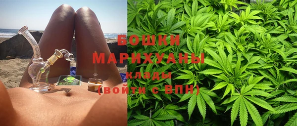 spice Гусь-Хрустальный