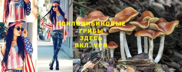 марки lsd Горняк