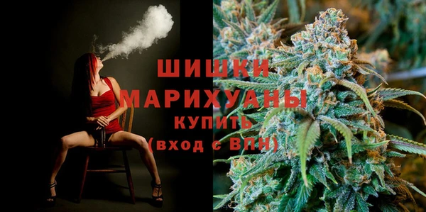 spice Гусь-Хрустальный